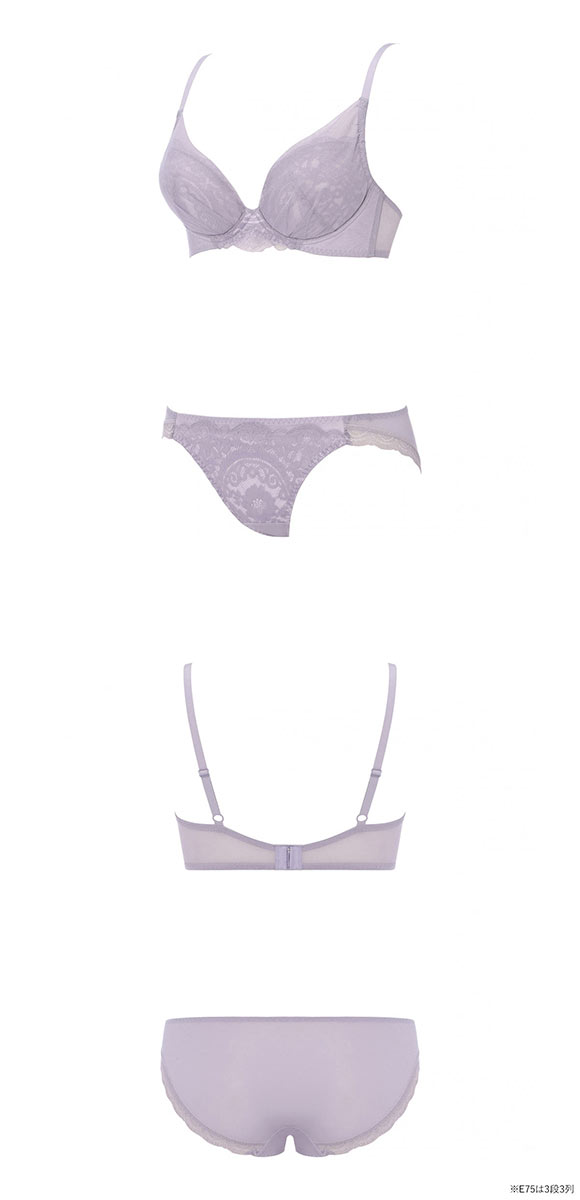 アモスタイル 脇高ブラ AMST1547 フローレスブロッサム ブラセット ブラジャー ショーツ セット E 大きいサイズ AMOSTYLE