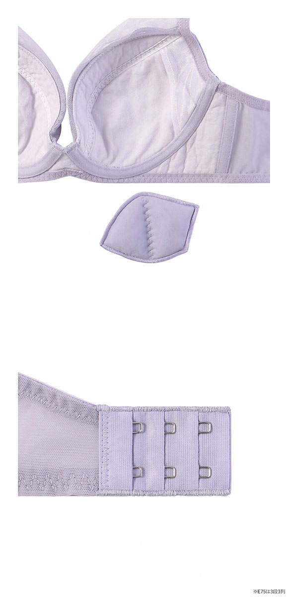 アモスタイル 脇高ブラ AMST1547 フローレスブロッサム ブラセット ブラジャー ショーツ セット E 大きいサイズ AMOSTYLE