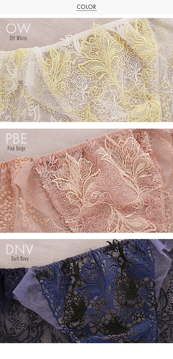 Arabesque アラベスク ショーツ スタンダード バックレース ML 単品 LA VIE A DEUX ラヴィアドゥ DOMESTIC UNDER