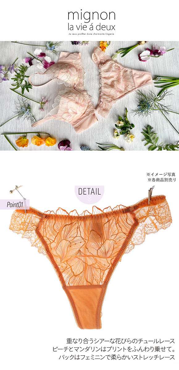 Bibiane ビビアーナ ショーツ Tバック バックレース ML 単品 LA VIE A DEUX ラヴィアドゥ  mignon