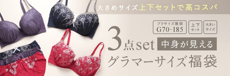 グラマーサイズ ブラ＆ショーツ3点セット福袋
