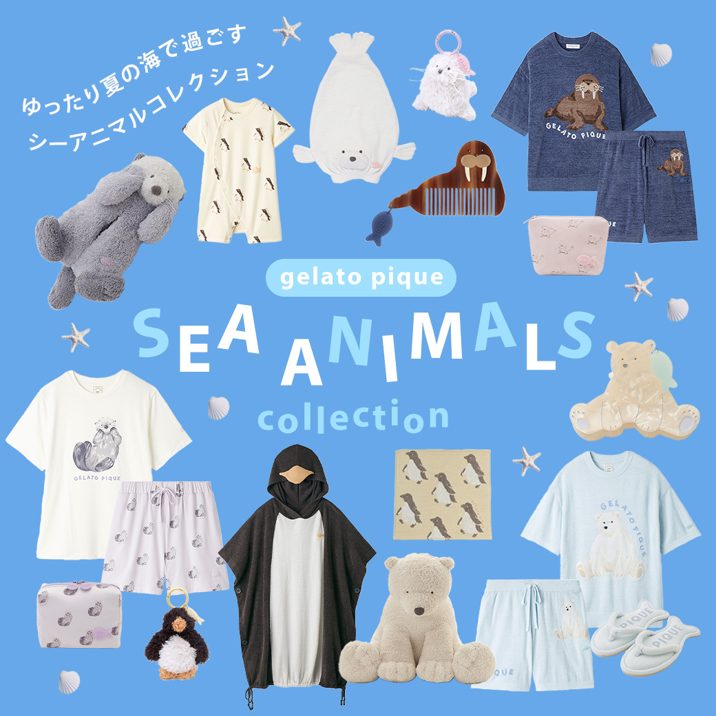ジェラートピケ新作