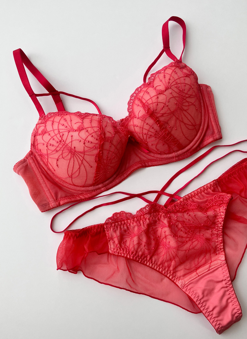 AMPHI（アンフィ）