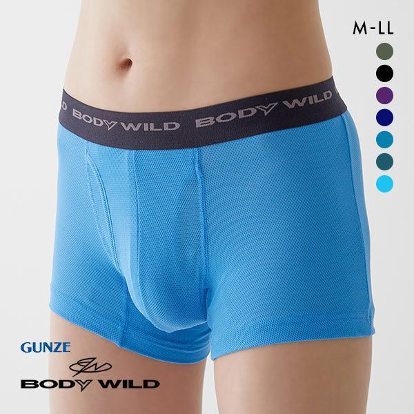 20%OFF【メール便(15)】 グンゼ GUNZE ボディワイルド BODY WILD ボクサーパンツ メンズ 吸汗速乾 メッシュ BWB084J
