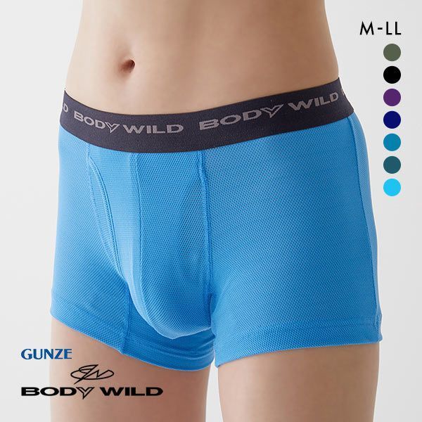 20％OFF【メール便(15)】 グンゼ GUNZE ボディワイルド BODY WILD ボクサーパンツ メンズ 吸汗速乾 メッシュ BWB084J