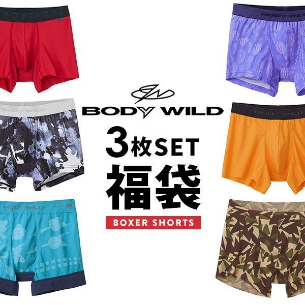 グンゼ GUNZE ボディワイルド BODY WILD ボクサーパンツ お楽しみ福袋 3枚セット メンズ アンダーウェア グンゼ GUNZE ボディワイルド BODY WILD ボクサーパンツ お楽しみ福袋 3枚セット メンズ アンダーウェア