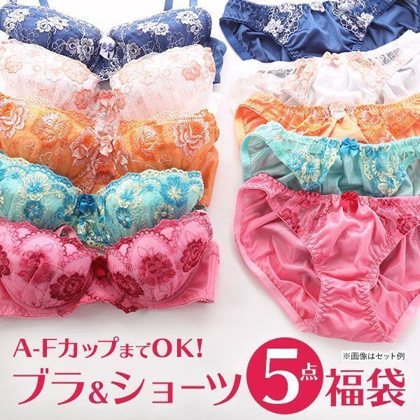 ブラジャー ショーツ 5点セット 福袋 おまかせ レース ABCDEFカップ ...