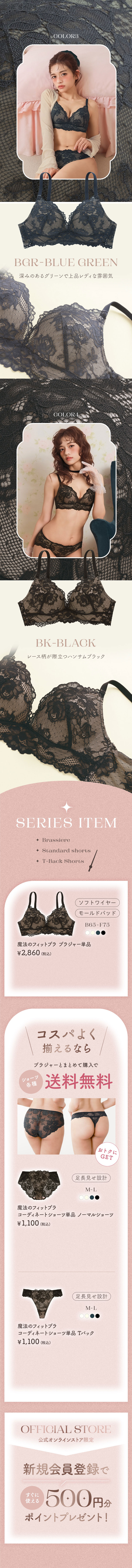 カラーバリエーションとシリーズアイテムのご案内