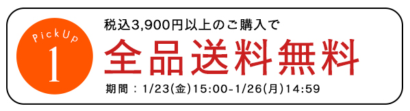 送料無料キャンペーン