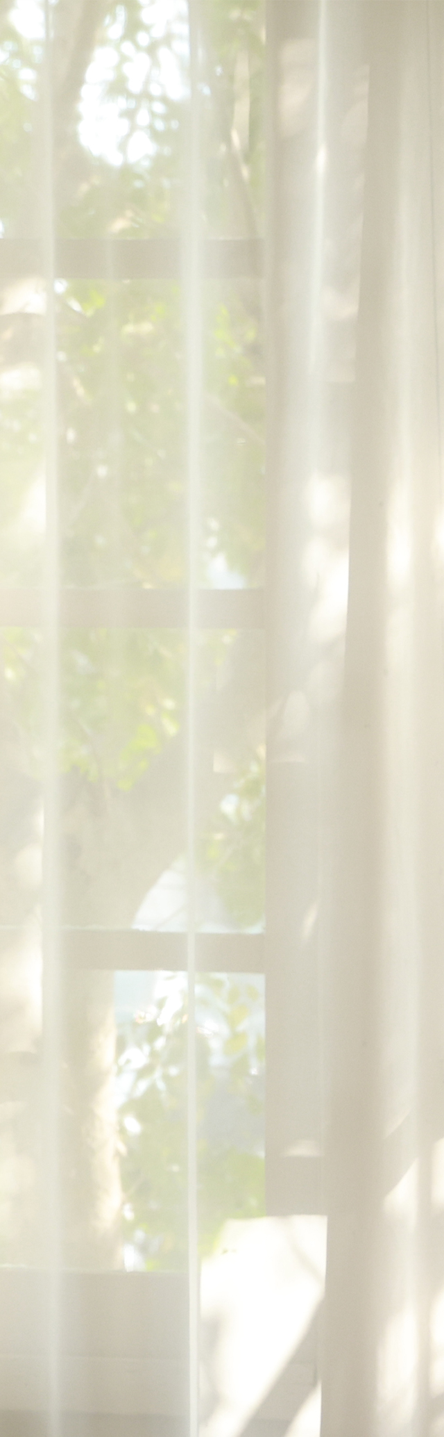 カーテン越しの窓