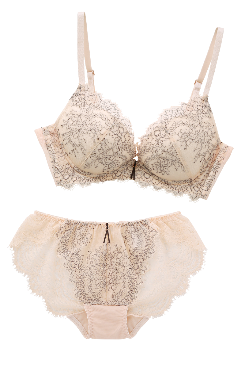 �����B�A�h�D �R�P�e�B�b�V���h�[�� �u���W���[