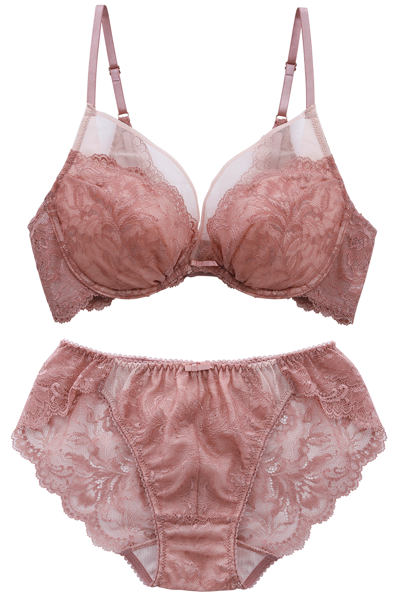 �����B�A�h�D �V�A�[�������E �u���W���[