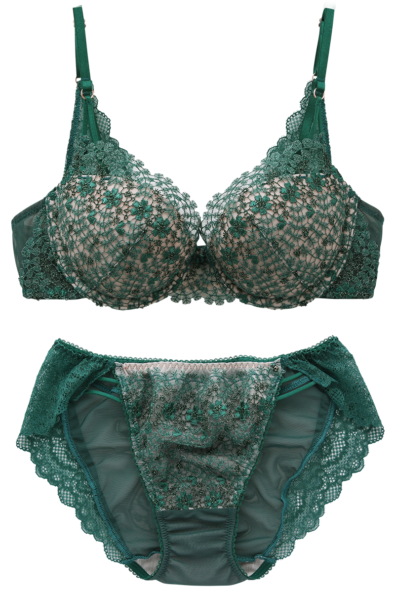 �����B�A�h�D �i�C�� �u���W���[